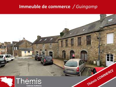 Immeuble a usage de commerce