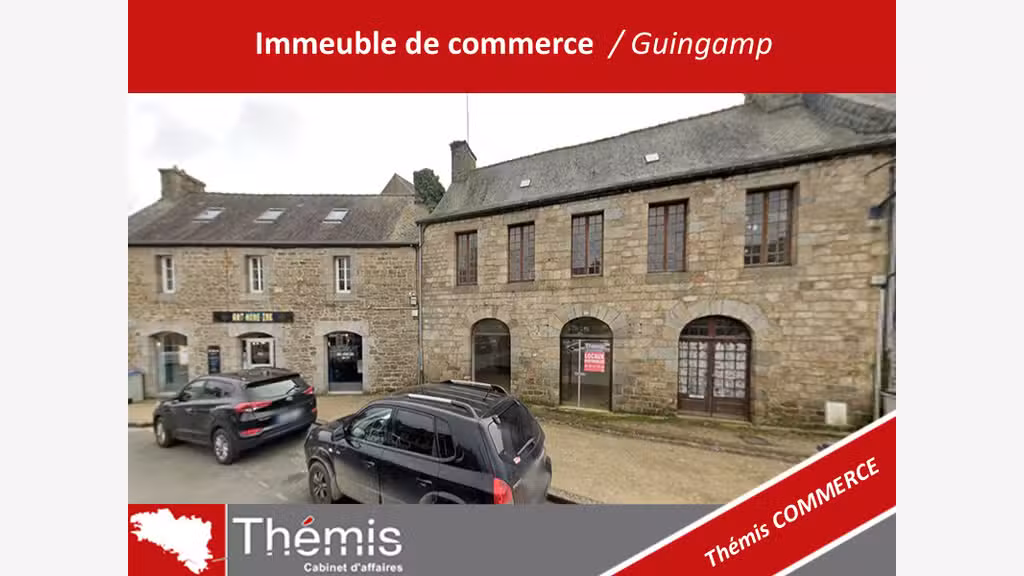 Immeuble a usage de commerce