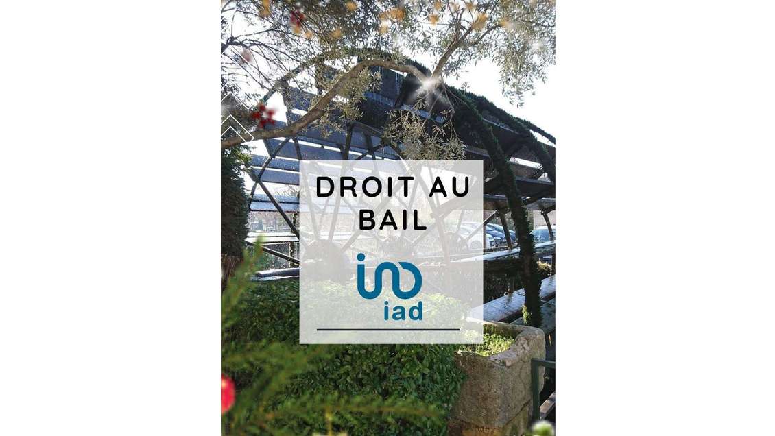Vente droit au bail 137m² à L'Isle-sur-la-Sorgue