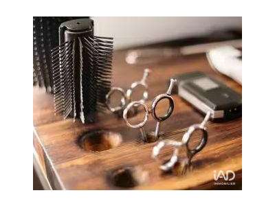 Vente Locaux commerciaux - Boutiques à La Roche-sur-Foron