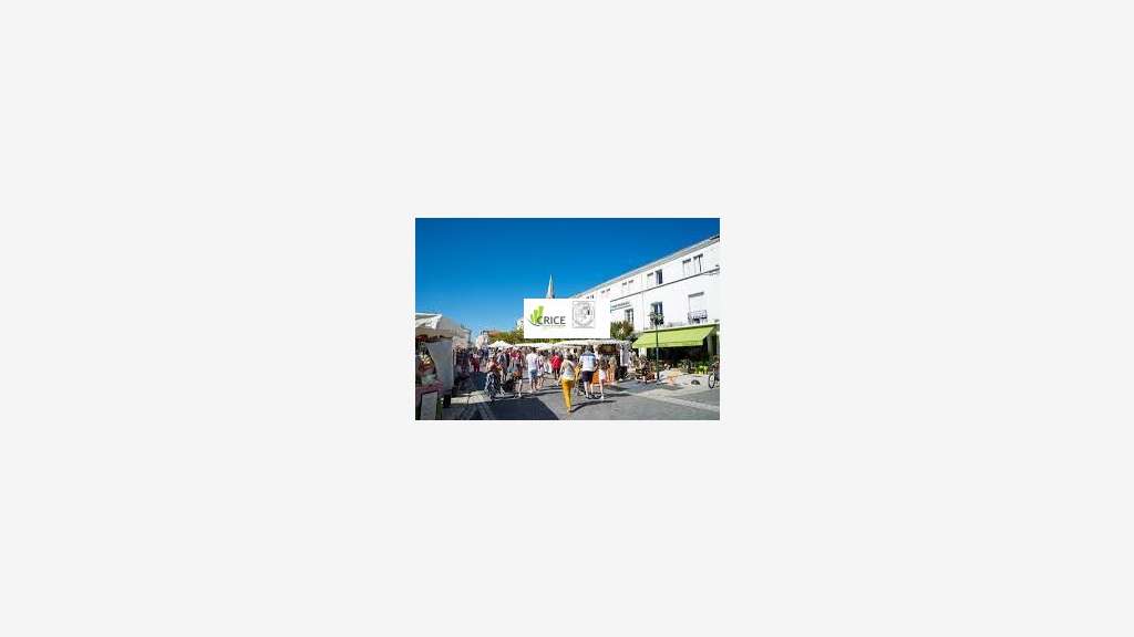 Vente murs commerciaux 36m² à La Tremblade
