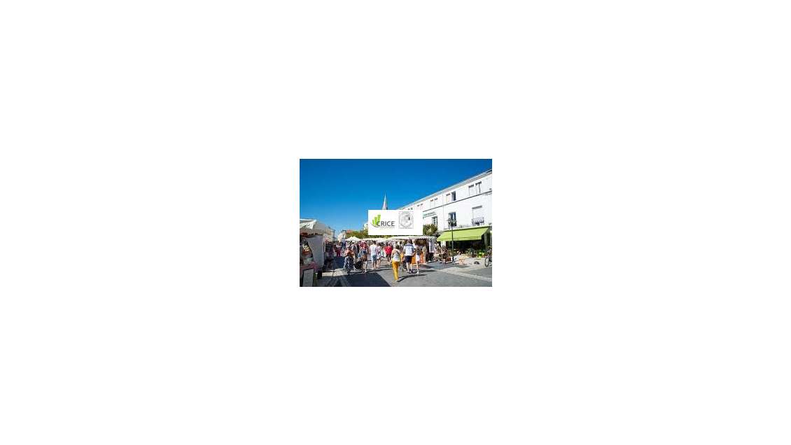 Vente murs commerciaux 36m² à La Tremblade 