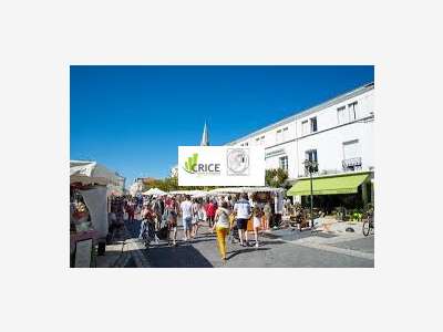 Vente murs commerciaux 36m² à La Tremblade 