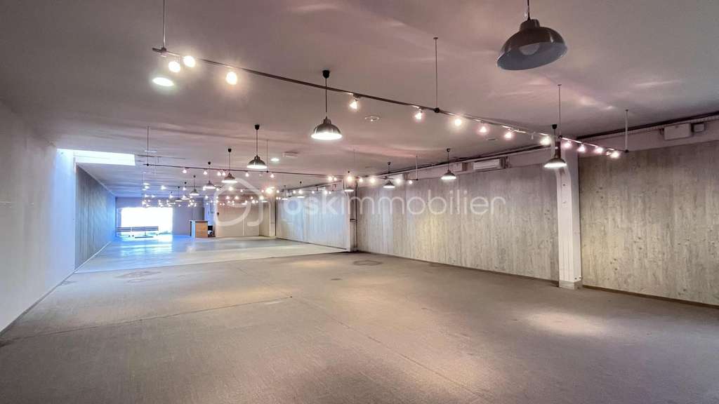 Vente local commercial 1039m² Le Lardin-St-Lazare