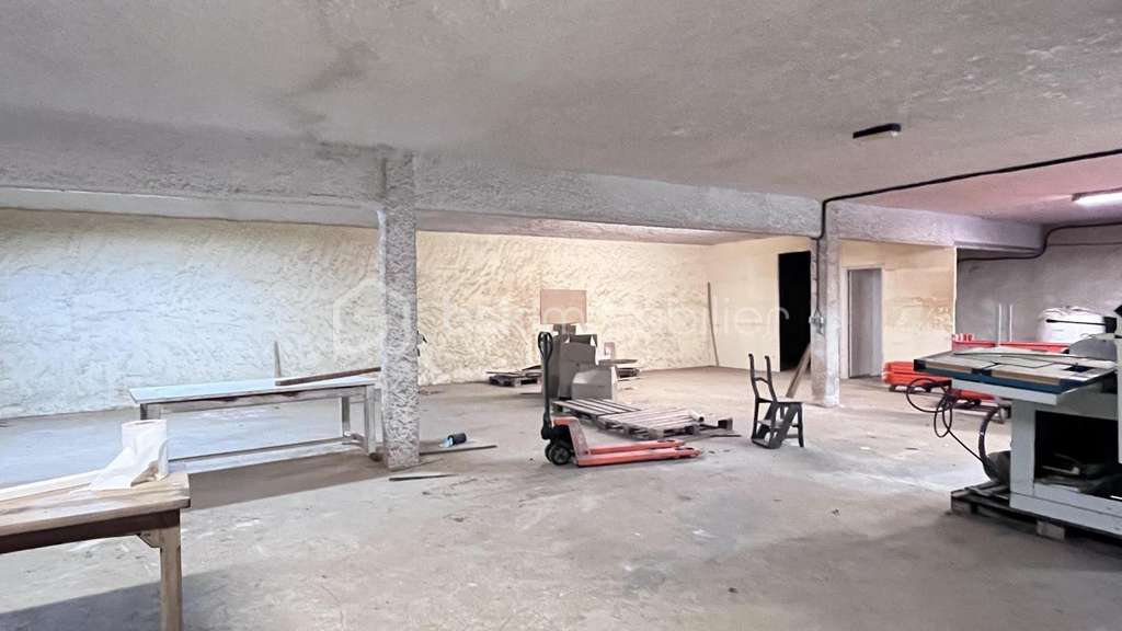 Vente local commercial 1039m² Le Lardin-St-Lazare