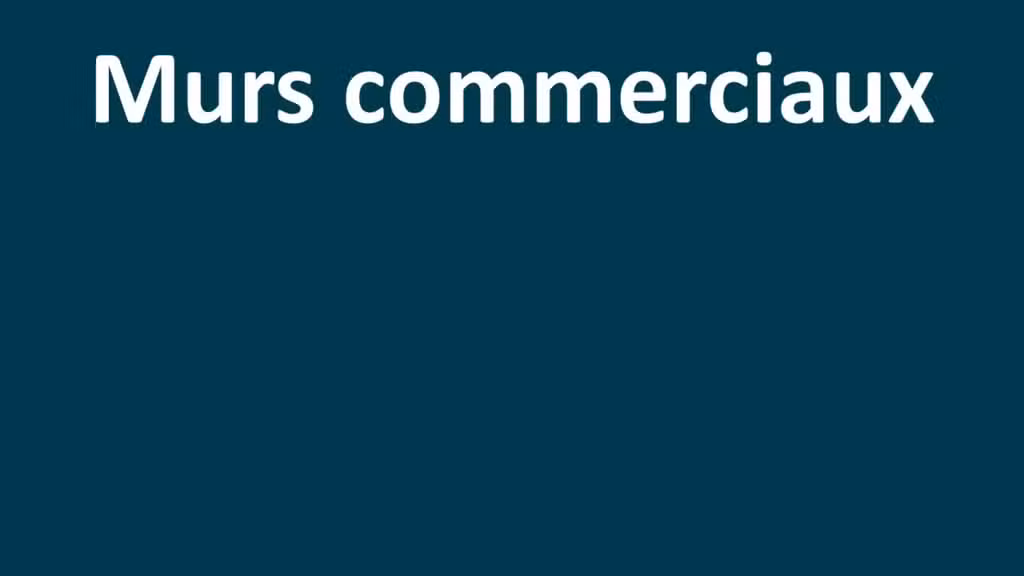 AV local commercial 70m² rue piétonne Le Mans