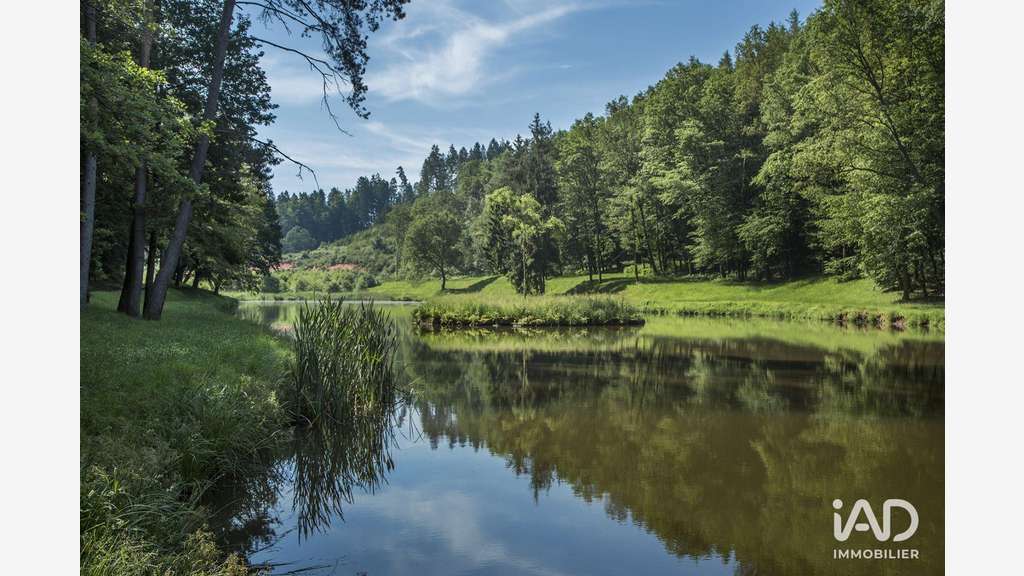 Vente Murs commerciaux 32 ha à Lemberg
