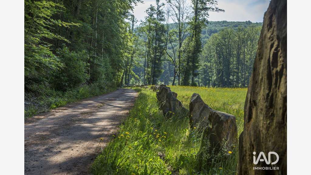 Vente Murs commerciaux 32 ha à Lemberg
