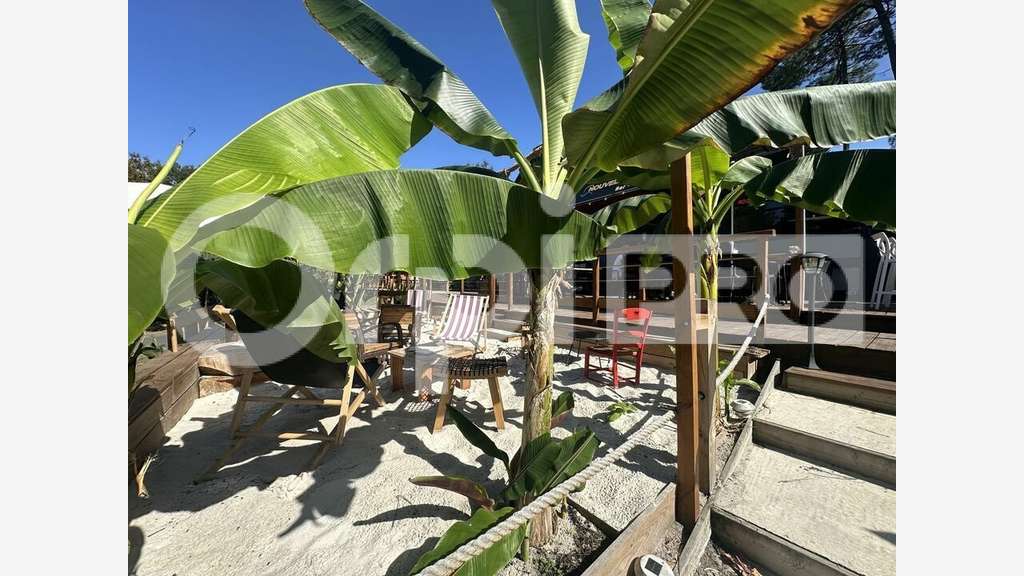 INVESTISSEMENT MURS COMMERCIAUX À VENDRE - LEON