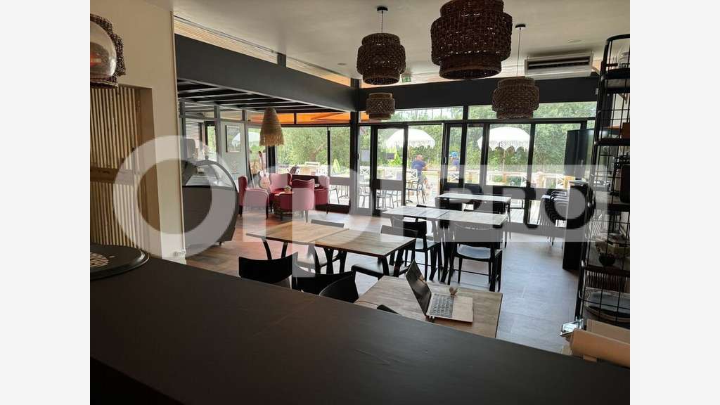 INVESTISSEMENT MURS COMMERCIAUX À VENDRE - LEON