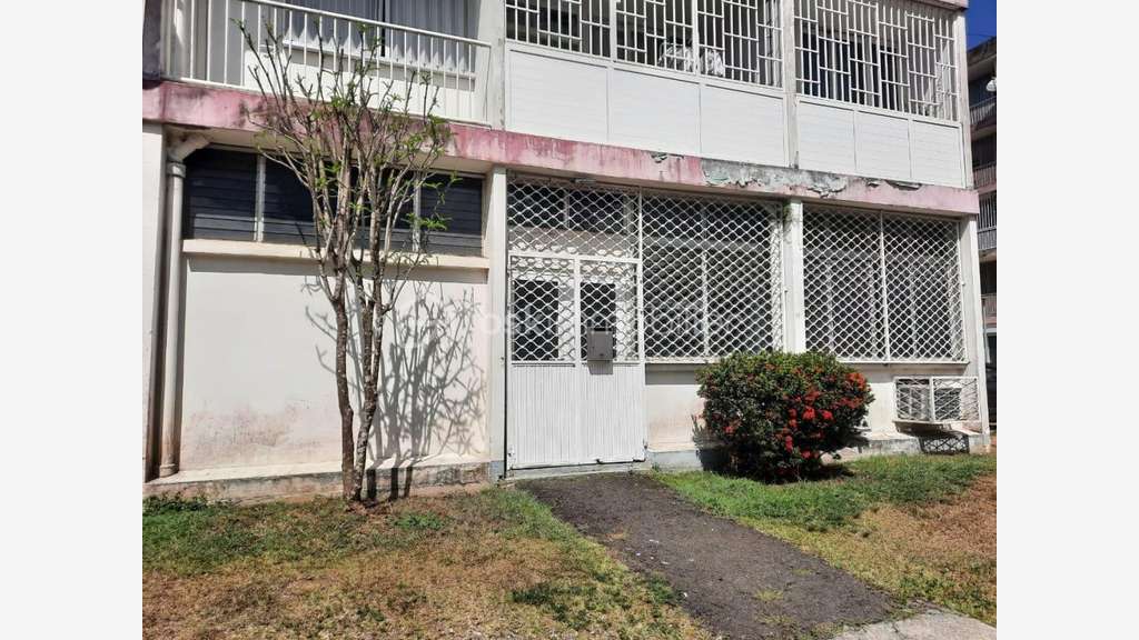 LES ABYMES - LOCAL PROFESSIONNEL DE 58 m²