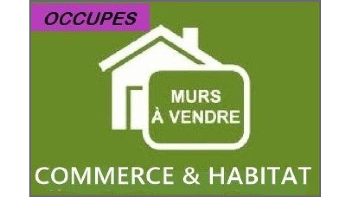 Vente murs commerciaux et habitat sur Les Sables