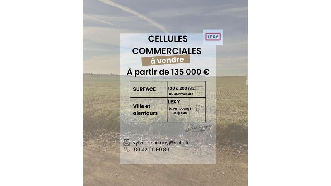 Vente cellule commerciale sur 4230m² à Lexy