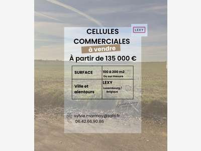 Vente cellule commerciale sur 4230m² à Lexy