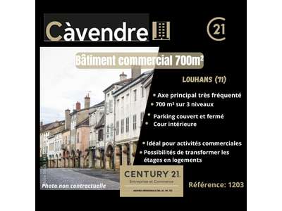 Vente Locaux commerciaux - Boutiques à Louhans