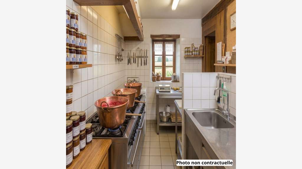 Vente propriété ferme auberge 707m² à Louhans