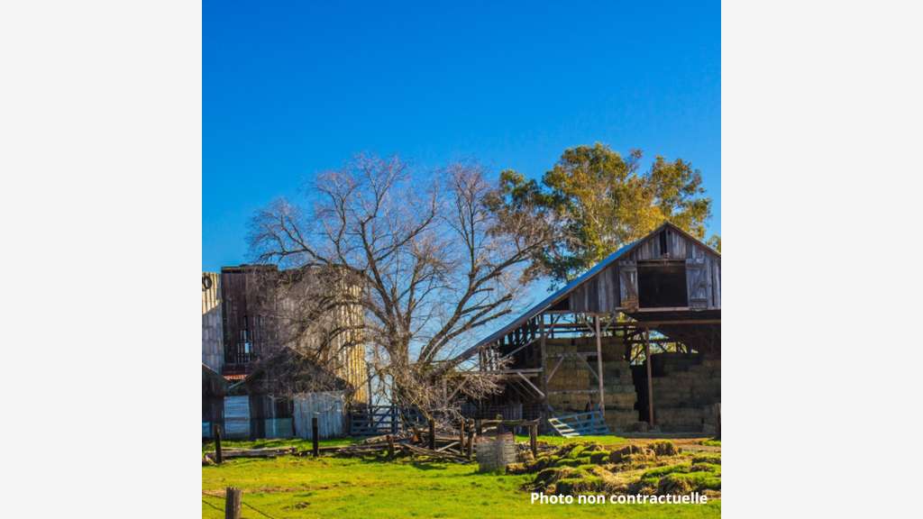 Vente propriété ferme auberge à Louhans