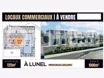 Locaux commerciaux Lunel