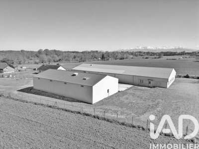 Local commercial à Luquet