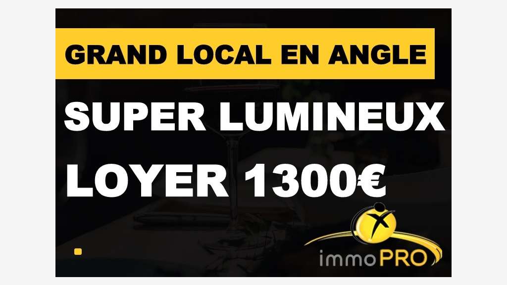 Local lumineux en angle sur 2 niveaux à Lyon 2e