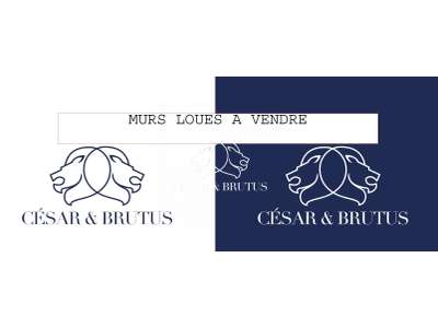 Vente Locaux commerciaux - Boutiques à Lyon 3e