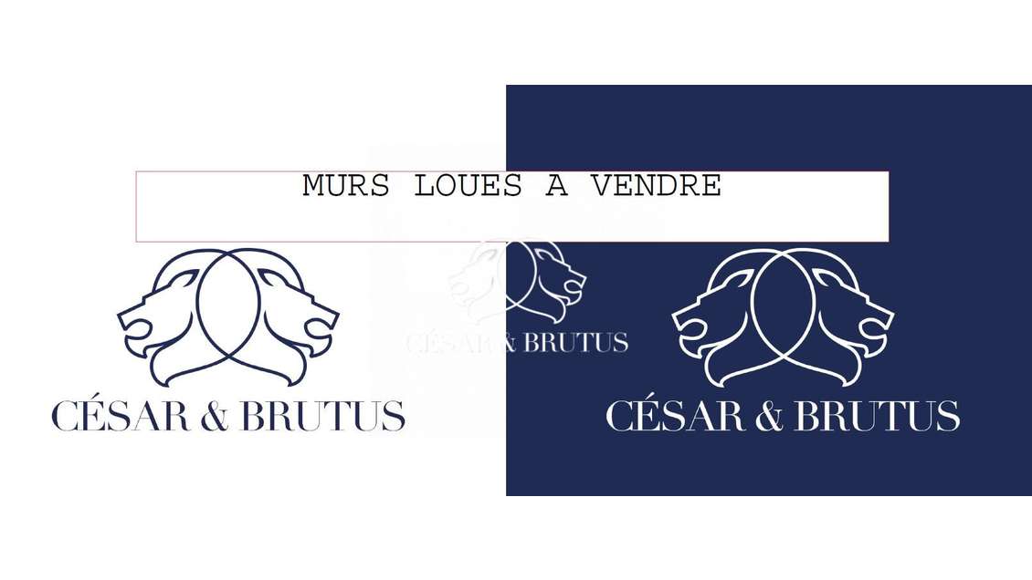 Immobilier restaurant 151m² à vendre à Lyon 69006