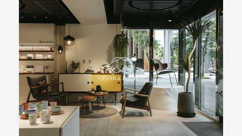 A vendre murs commerciaux 290m² à Lyon 7e