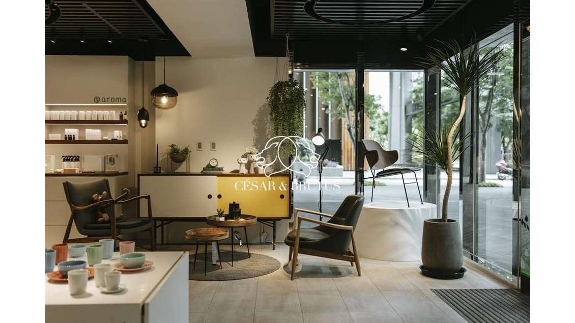 A vendre murs commerciaux 290m² à Lyon 7e