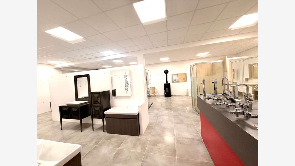 AV ensemble immobilier 975m² proche Sens et Malay