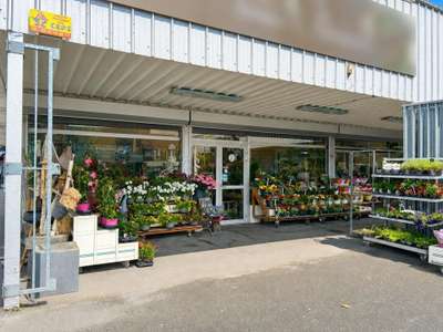 Vente Locaux commerciaux - Boutiques à Montigny-en-Ostrevent