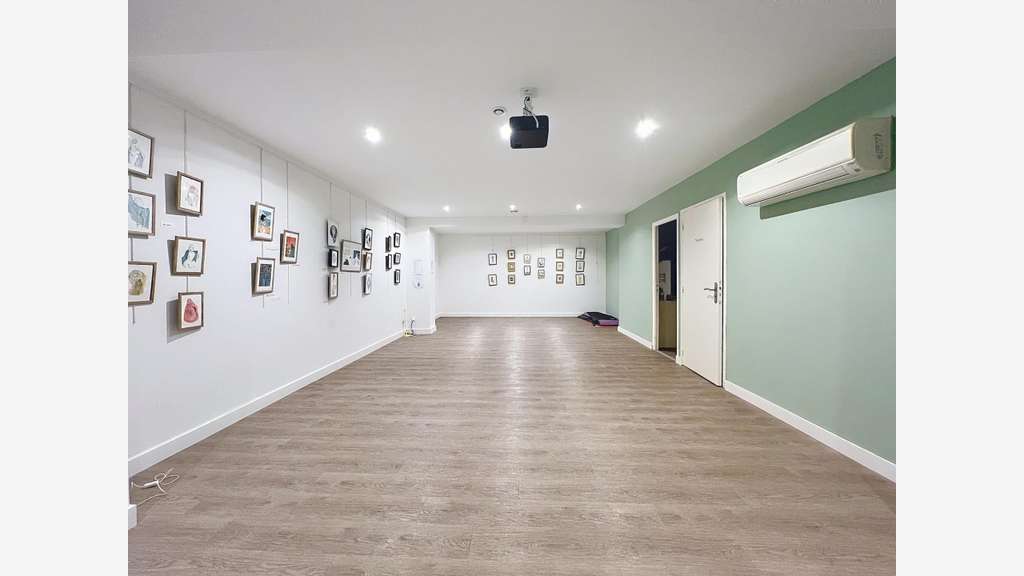 Local commercial 150m² rénové Montpellier Gambetta
