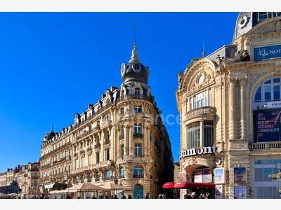 Vente murs commerciaux occupés Montpellier centre