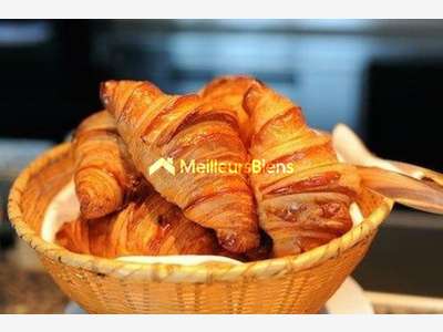 LOCAL COMMERCIAL ET ARTISANAL 85M² + 51M² D A