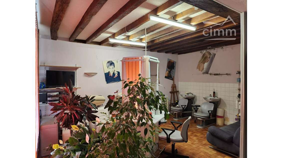 Vente local commercial de 35m² à Neuvy-Pailloux