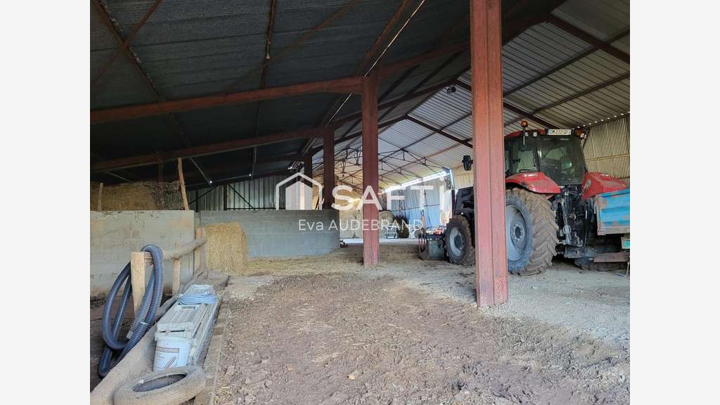 Hangar avec panneaux photovotaïques et parcelle 