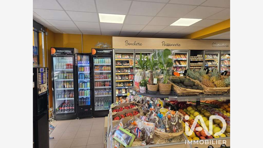Vente murs commerciaux occupés + T4 à Olette
