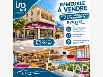 Vente murs commerciaux occupés + T4 à Olette
