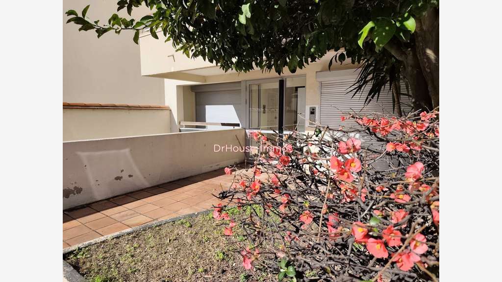 AV local pro de 43m² à Perpignan Cours Palmarole