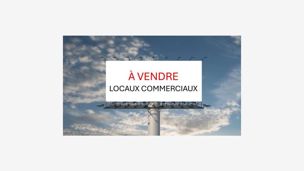 Vente locaux commerciaux 4000m² à Perpignan