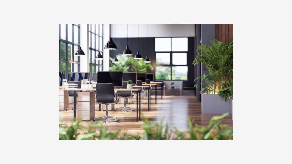 A VENDRE - ENSEMBLE IMMOBILIER PROFESSIONNEL