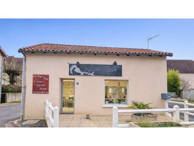 Vente Locaux commerciaux - Boutiques à Persac
