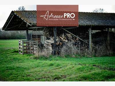 Murs-PLOUMOGUER-166 m²