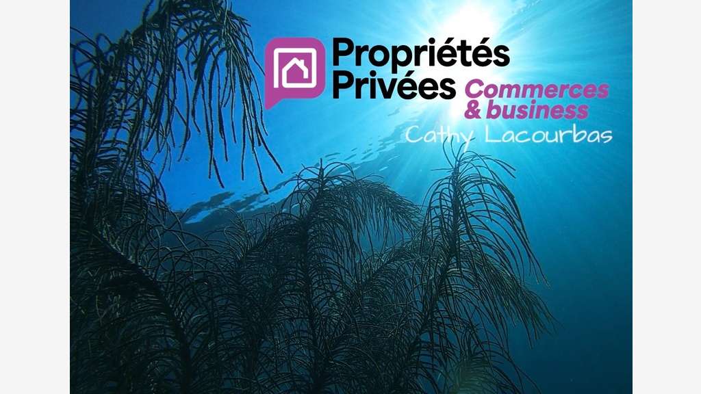 CENTRE DE PLONGÉE RECONNU EN GUADELOUPE , CESSION 