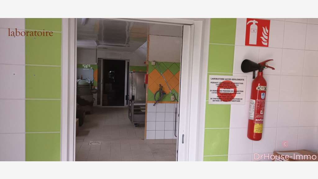 Vente commerce et laboratoire 207m² à Rivarennes