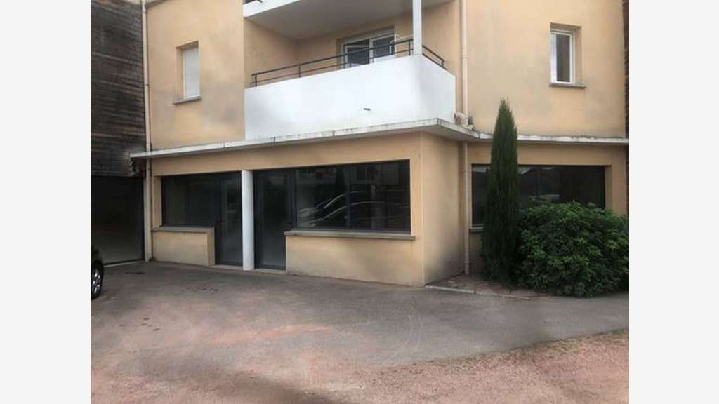 AV plusieurs cellules commerciales à Roanne