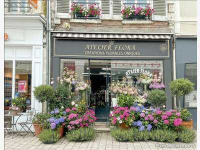 Murs commerciaux 65m² en plein cœur de Romorantin