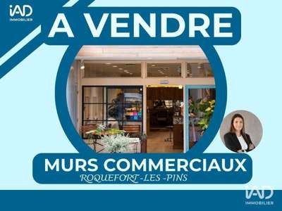 Murs commerciaux à Roquefort-les-Pins