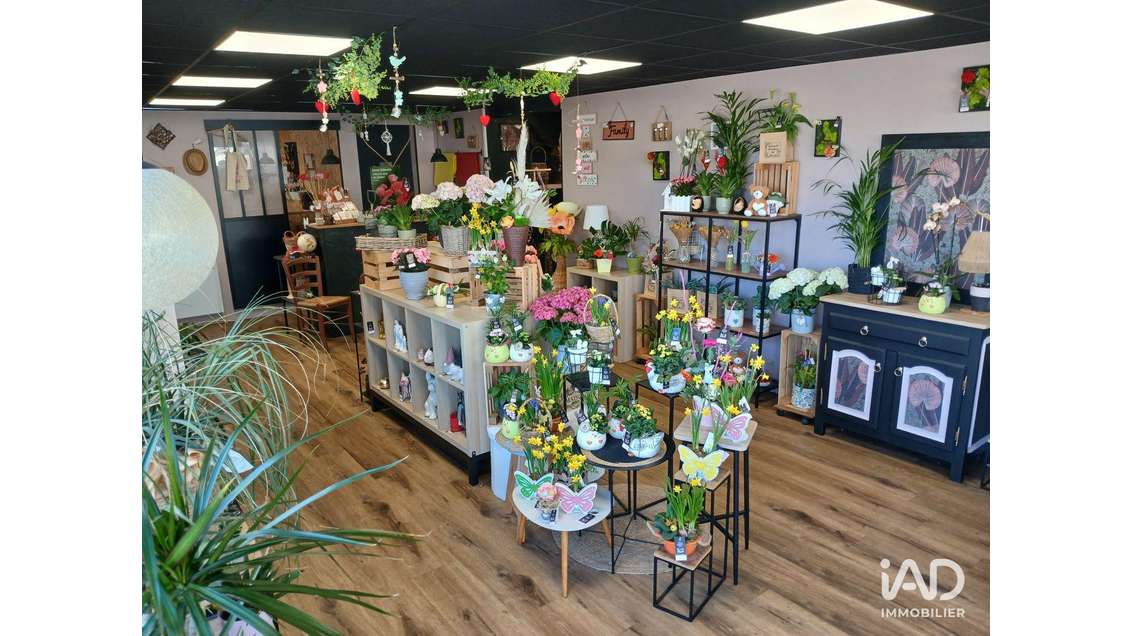 Murs commerciaux à Saint-Sauveur-Lendelin