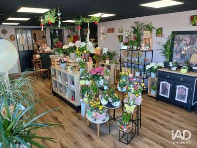 Vente Locaux commerciaux - Boutiques à Saint-Sauveur-Villages