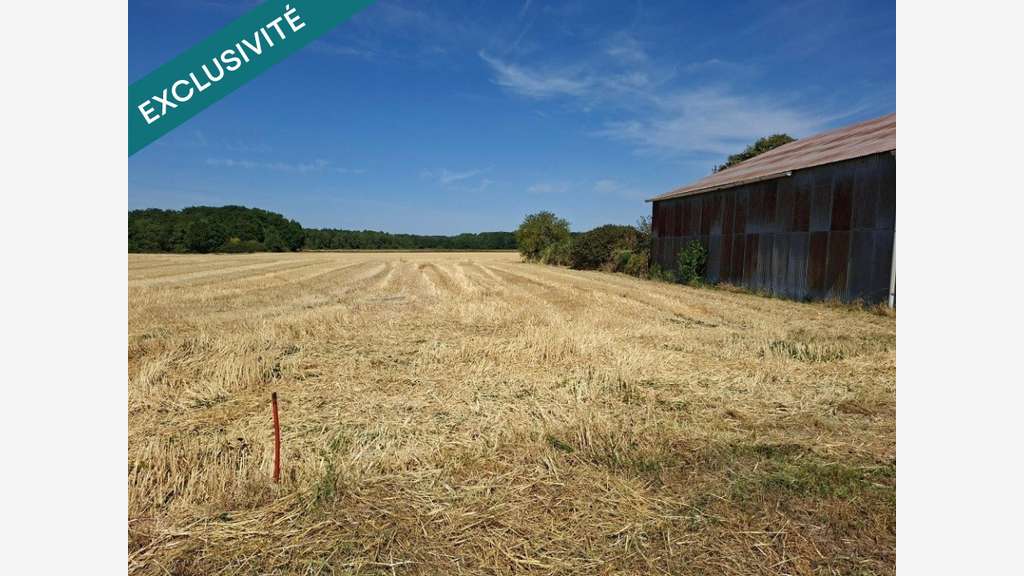 Hangar 225 m² à vendre proche chilleurs-aux-Bois